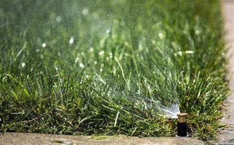 California considers permanent ban on watering grass at businesses, even in non-drought years